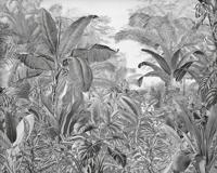 Komar Vlies fotobehang - Roraima - afmetingen: 350 x 280 cm (breedte x hoogte) - jungle, regenwoud, s/w, palmen, kinderkamer, behang - IAX7-0003