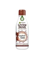 Garnier Loving blends haarmasker cacao (250 ml)