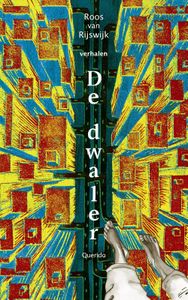 De dwaler - Roos van Rijswijk - ebook