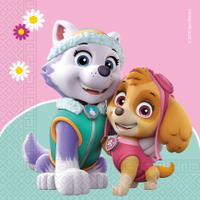 Servetten Paw Patrol Skye & Everest (20st)