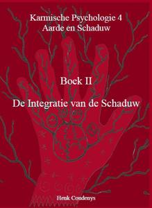 De Integratie van de Schaduw (Paperback)