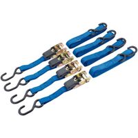 Draper Tools Draper Tools Spanbanden 250 kg 4 st 60965 - thumbnail