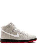 Nike baskets SB Dunk TRD - Tons neutres