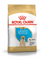 Royal Canin Labrador Retriever voer voor puppy 12kg