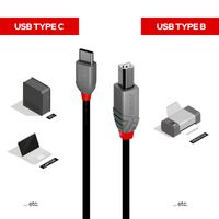 Lindy 36940 USB-kabel 0,5 m USB 2.0 USB C USB B Zwart - thumbnail