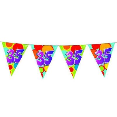 Vlaggenlijn slinger 35 jaar gekleurd