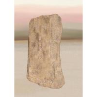 Gedachtenboek - (ISBN:9789464188745)