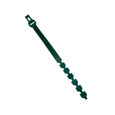 Talen Tools Boomband - Verstelbaar - 60 cm - Groen Talen Tools Boomband - Verstelbaar - 60 cm - Groen