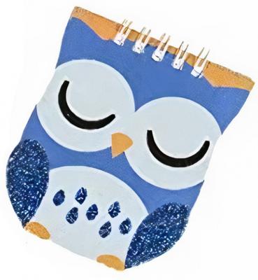 LG Imports notitieboekje uil junior 9,5 x 8 cm papier blauw LG Imports notitieboekje uil junior 9,5 x 8 cm papier blauw