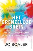 Het grenzeloze brein (Paperback)