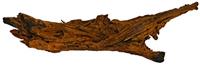 Driftwood S aquaria