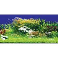 Aquatic Nature Foto Achterwand Creatif 60 x 40