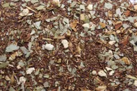 Sinaasappel eucalyptus
 -
 Rooibos thee