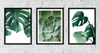 Posters - Cactus en Monstera / Set van 3