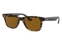 Ray-Ban RB4640 zonnebril Vierkant