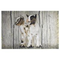 Deurmat Witte Dwerggeitjes (75 x 50 cm)