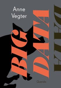 Big data - Anne Vegter - ebook