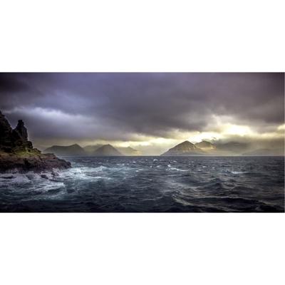 Wanddecoratie Art of Nature 018 98x48cm