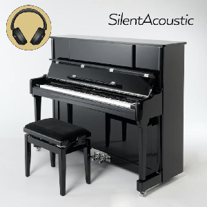 Sebastian Steinwald 123 AdSilent2 SilentAcoustic PE zilver s