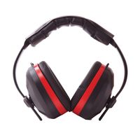 Portwest PW43 Comfort Ear Muffs EN352