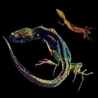 One To One & Xaosonix - CD (7438205694619)