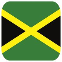 45x Onderzetters voor glazen met Jamaicaanse vlag - Bierfiltjes