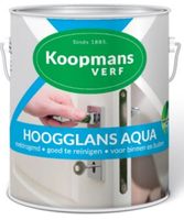 Koopmans Hoogglans Aqua - thumbnail