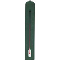 Binnen/buiten thermometer XXL- Donkergroen - kunststof - 45 x 10 cm - binnen/buiten