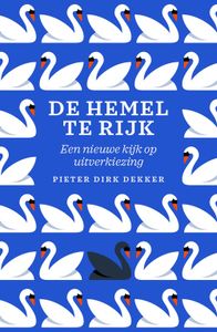 De hemel te rijk - Pieter Dirk Dekker - ebook