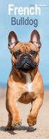 French Bulldog Slim Calendar 2026 Dog Breed Slimline Calendar - 12 Month