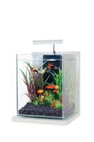 Zolux Jalaya Aquarium Antiek Wit