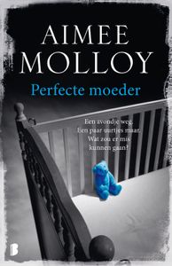 Perfecte moeder - Aimee Molloy - ebook