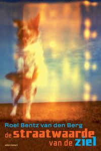 De straatwaarde van de ziel - Roel Bentz van den Berg - ebook