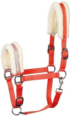 Harry's Horse Halster Lyrics V