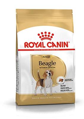 ROYAL CANIN BEAGLE ADULT | 3 kg | Volledig diervoeder voor volwassen Beagles | Ondersteuning van het gewicht en normale spijsvertering | Met Omega-3 voor botten en gewrichten