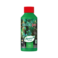 Dutch Pro Dutch Pro Amino Strenght Dutch Pro Dutch Pro Amino Strenght