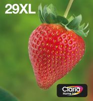 Epson Strawberry Multipack 4-colours 29XL EasyMail