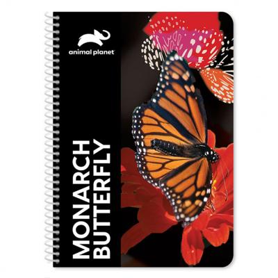 Animal Planet notitieboek Vlinder 17 x 25 cm 60 pagina's Animal Planet notitieboek Vlinder 17 x 25 cm 60 pagina's