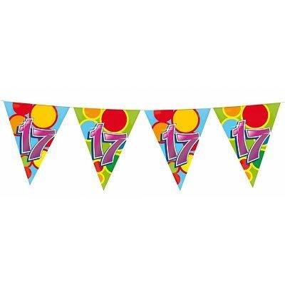 Vlaggenlijn slinger 17 jaar gekleurd