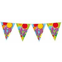 Vlaggenlijn slinger 17 jaar gekleurd