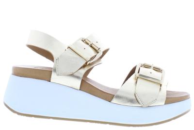Inuovo 768001 gold Goud 