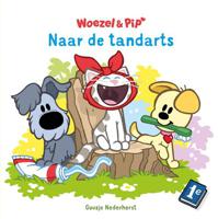 Naar de tandarts