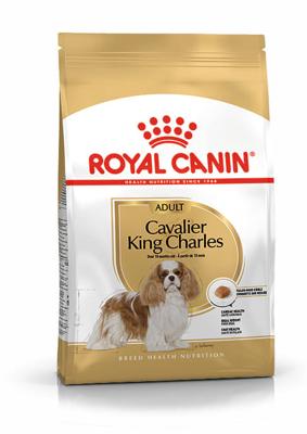 Royal Canin Adult Cavalier King Charles hondenvoer 3 kg Royal Canin Adult Cavalier King Charles hondenvoer 3 kg
