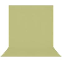 Westcott X-Drop Pro Kreukbestendig 8' x 13' (2,44 x 3,96 m) Sweep Achtergrond voor full-body foto's en groepsportretten, video-interviews en fotocabines - draagbaar en reisvriendelijk (lichtgroen mos)