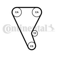 Getande riem CONTINENTAL CTAM, u.a. für Ford