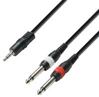 Adam Hall 3 Star YWPP 0300 verloopkabel 1x mini-jack naar 2x mono jack 3m