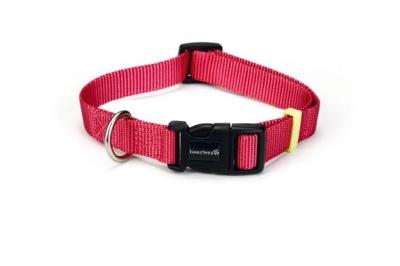 Beeztees uni - halsband hond - roze - 26-40 cm x 15 mm Beeztees uni - halsband hond - roze - 26-40 cm x 15 mm