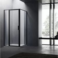 BWS Nisdeur Recta Met Vast Paneel 90x200 cm 8 mm NANO Glas Black Brushed Profiel OP=OP Boss & Wessing