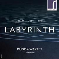 Labyrinth - CD (5060262790854)