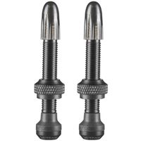 Tubeless ventiel Schwalbe 40mm (2 stuks)
